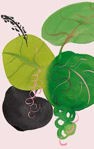 green leaves in the bottom right corner