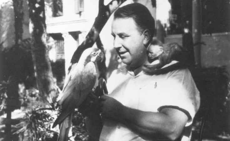 johnny the actual monkey