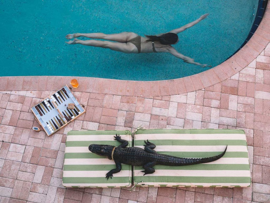 Nick Mele photo of lady in pool with alligator on lounge and backgammon board