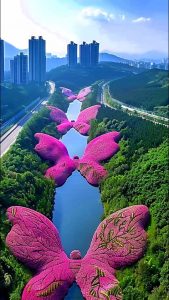 Immersing in the Most ᴜпіqᴜe Flower Parks in the World