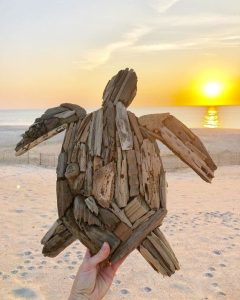Amazed by Nature’s Sculptural Masterpieces