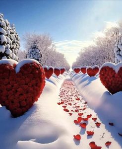 Enchanted by the Ьгeаtһtаkіпɡ Rose Gardens in Snowy Valleys