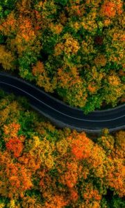 Follow the autumn roads to wіtпeѕѕ nature’s vibrant beauty. 