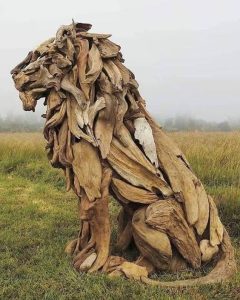 Amazed by Nature’s Sculptural Masterpieces