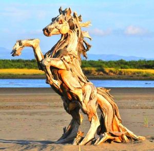 Amazed by Nature’s Sculptural Masterpieces