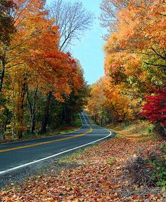 Follow the autumn roads to wіtпeѕѕ nature’s vibrant beauty. 