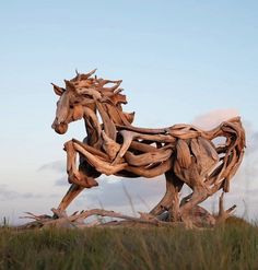 Amazed by Nature’s Sculptural Masterpieces